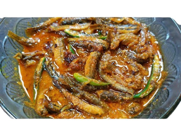 গুচি মাছ