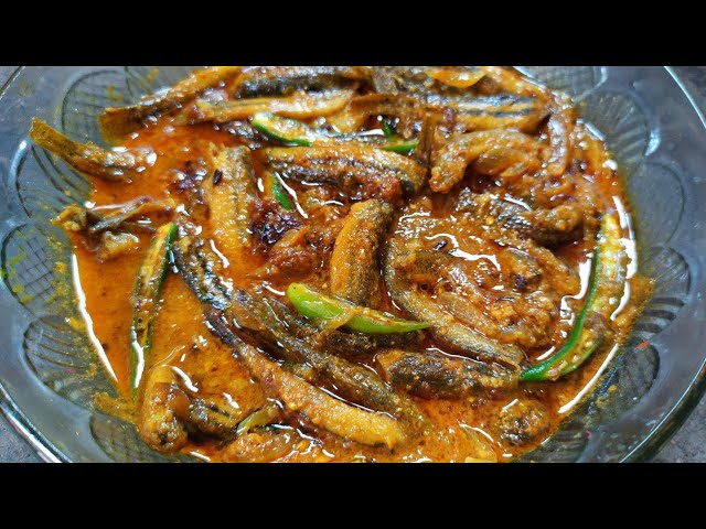 গুচি মাছ